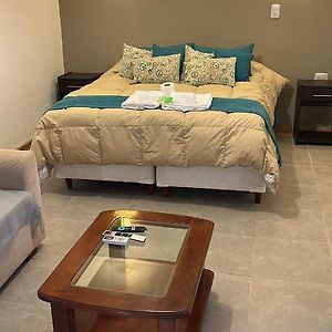 Suite Alvear